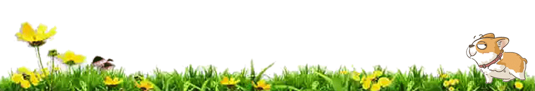 犇动图.gif